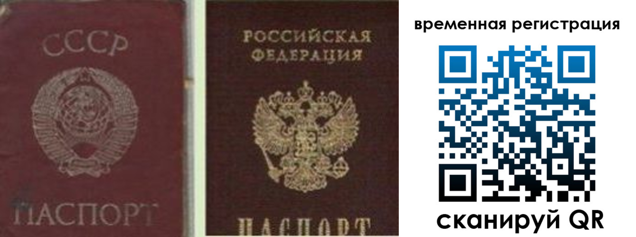 прописка для школы в Владимире